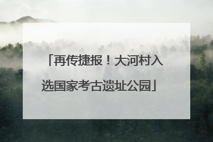 再传捷报！大河村入选国家考古遗址公园