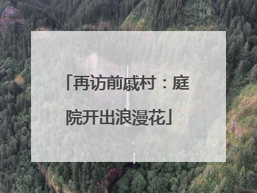 再访前戚村：庭院开出浪漫花