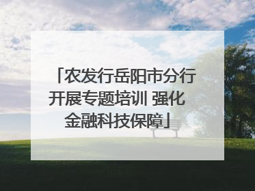 农发行岳阳市分行开展专题培训 强化金融科技保障