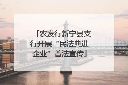 农发行新宁县支行开展“民法典进企业”普法宣传