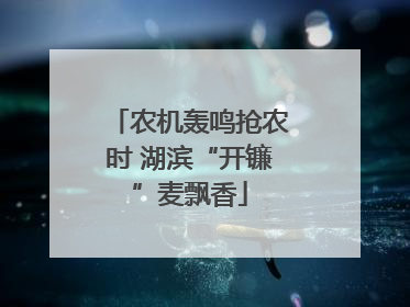 农机轰鸣抢农时 湖滨“开镰”麦飘香