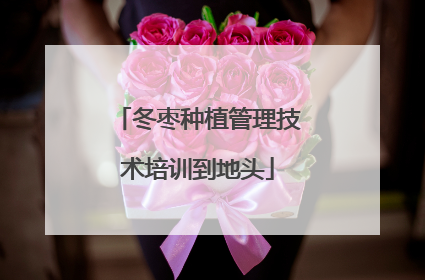 冬枣种植管理技术培训到地头