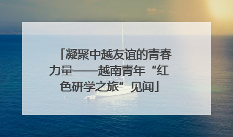 凝聚中越友谊的青春力量——越南青年“红色研学之旅”见闻