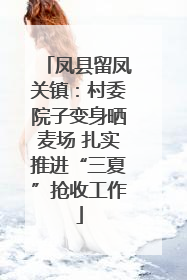 凤县留凤关镇：村委院子变身晒麦场 扎实推进“三夏”抢收工作