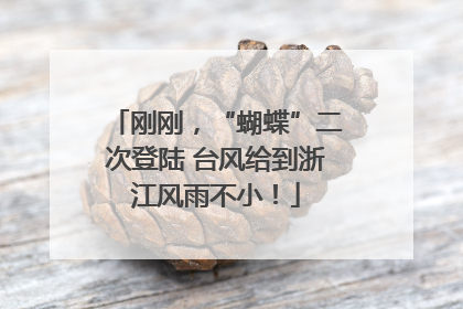 刚刚，“蝴蝶”二次登陆 台风给到浙江风雨不小！