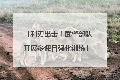 利刃出击！武警部队开展多课目强化训练