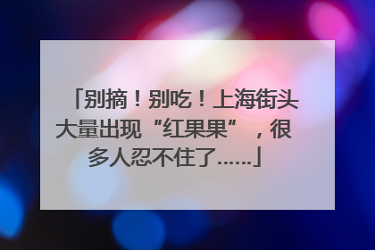 别摘！别吃！上海街头大量出现“红果果”，很多人忍不住了……