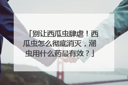 别让西瓜虫肆虐！西瓜虫怎么彻底消灭，潮虫用什么药最有效？