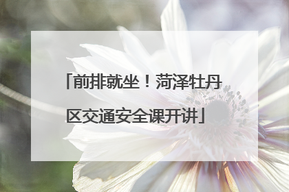 前排就坐！菏泽牡丹区交通安全课开讲