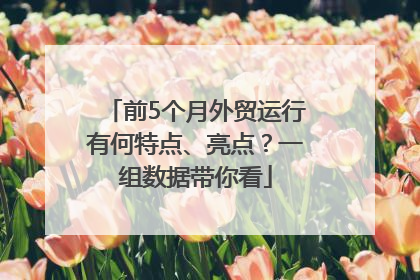 前5个月外贸运行有何特点、亮点？一组数据带你看