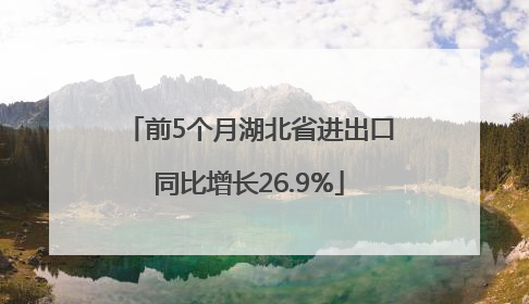 前5个月湖北省进出口同比增长26.9%