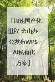 加速国产化进程 金山办公发布WPS AI私有化方案