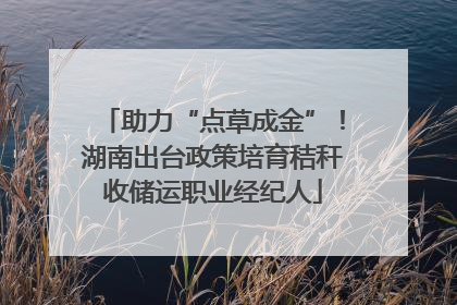 助力“点草成金”！湖南出台政策培育秸秆收储运职业经纪人