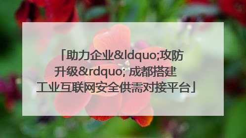助力企业“攻防升级” 成都搭建工业互联网安全供需对接平台