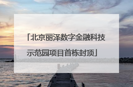 北京丽泽数字金融科技示范园项目首栋封顶