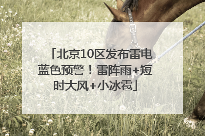 北京10区发布雷电蓝色预警！雷阵雨+短时大风+小冰雹