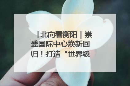 北向看衡阳｜崇盛国际中心焕新回归！打造“世界级美食主题公园”