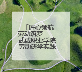 匠心领航 劳动筑梦——武威职业学院劳动研学实践育人取得新成果