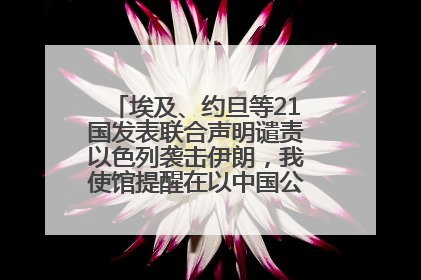 埃及、约旦等21国发表联合声明谴责以色列袭击伊朗，我使馆提醒在以中国公民尽快陆路离境