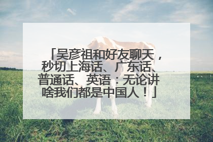 吴彦祖和好友聊天，秒切上海话、广东话、普通话、英语：无论讲啥我们都是中国人！