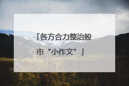 各方合力整治股市“小作文”