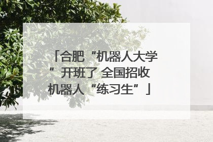 合肥“机器人大学”开班了 全国招收机器人“练习生”