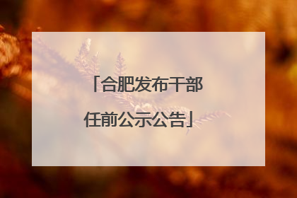 合肥发布干部任前公示公告