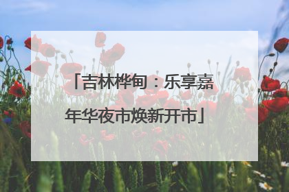 吉林桦甸：乐享嘉年华夜市焕新开市