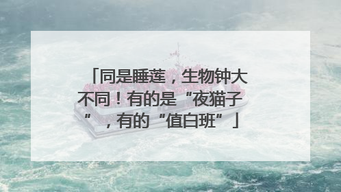 同是睡莲，生物钟大不同！有的是“夜猫子”，有的“值白班”