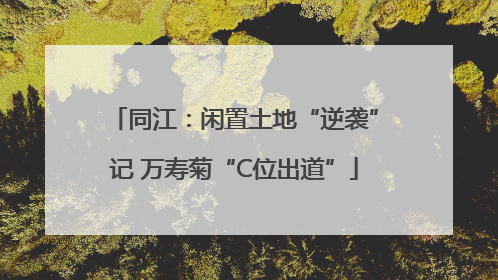 同江：闲置土地“逆袭”记 万寿菊“C位出道”