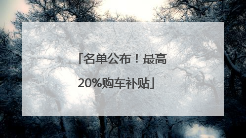 名单公布！最高20%购车补贴