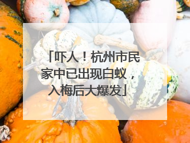 吓人！杭州市民家中已出现白蚁，入梅后大爆发