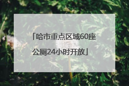 哈市重点区域60座公厕24小时开放