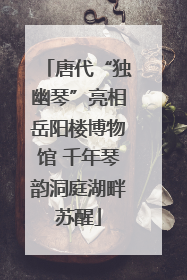 唐代“独幽琴”亮相岳阳楼博物馆 千年琴韵洞庭湖畔苏醒