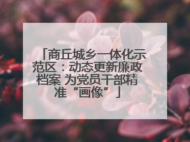 商丘城乡一体化示范区：动态更新廉政档案 为党员干部精准“画像”