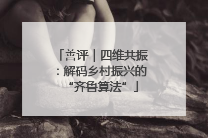 善评｜四维共振：解码乡村振兴的“齐鲁算法”
