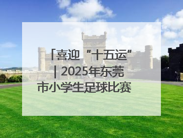 喜迎“十五运”｜2025年东莞市小学生足球比赛圆满收官