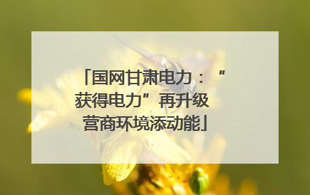 国网甘肃电力：“获得电力”再升级 营商环境添动能