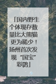 国内野生个体现存数量比大熊猫更为稀少！扬州首次发现“国宝”彩鹮