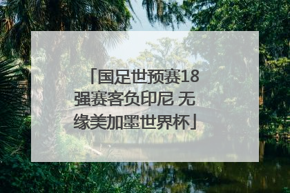 国足世预赛18强赛客负印尼 无缘美加墨世界杯