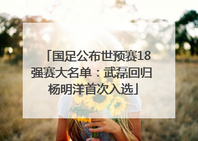 国足公布世预赛18强赛大名单：武磊回归 杨明洋首次入选