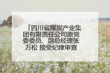 四川省煤炭产业集团有限责任公司原党委委员、副总经理张万松 接受纪律审查和监察调查