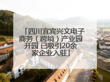 四川宜宾兴文电子商务（跨境）产业园开园 已吸引20余家企业入驻