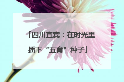 四川宜宾：在时光里播下“五育”种子