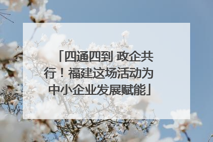 四通四到 政企共行！福建这场活动为中小企业发展赋能