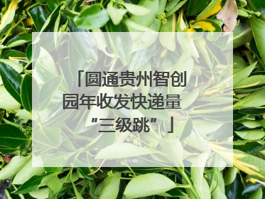 圆通贵州智创园年收发快递量“三级跳”