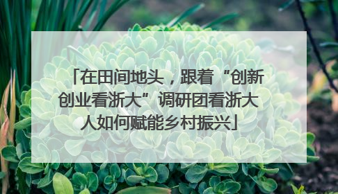 在田间地头，跟着“创新创业看浙大”调研团看浙大人如何赋能乡村振兴