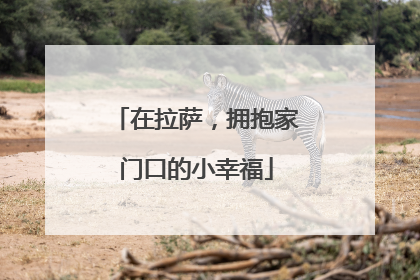 在拉萨，拥抱家门口的小幸福