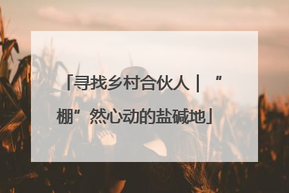 寻找乡村合伙人｜“棚”然心动的盐碱地