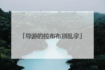 导游的拉布布别乱拿
